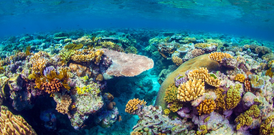 great-barrier-reef-australia-tourist-destinations