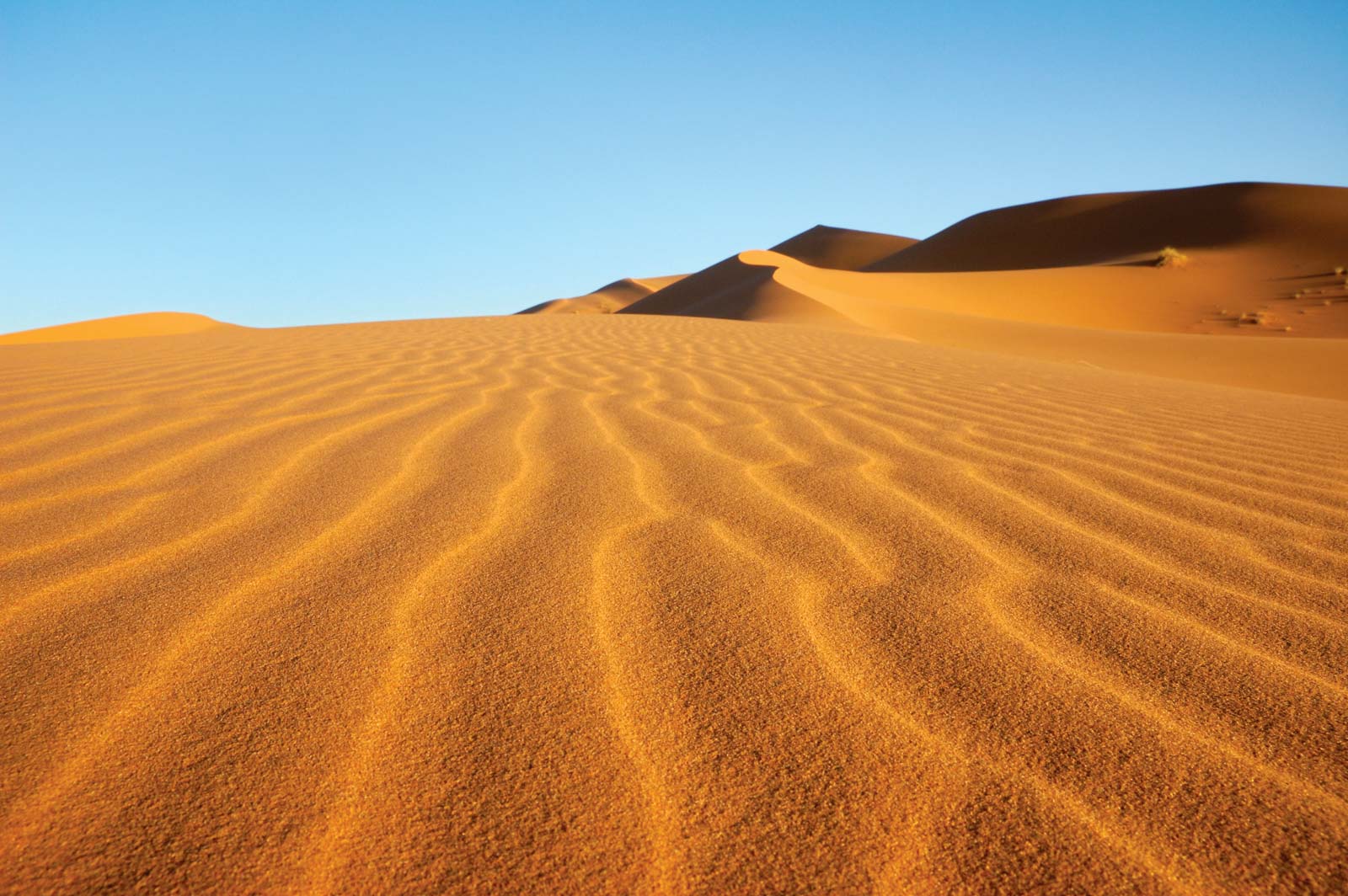 Золотые Пески пустыни